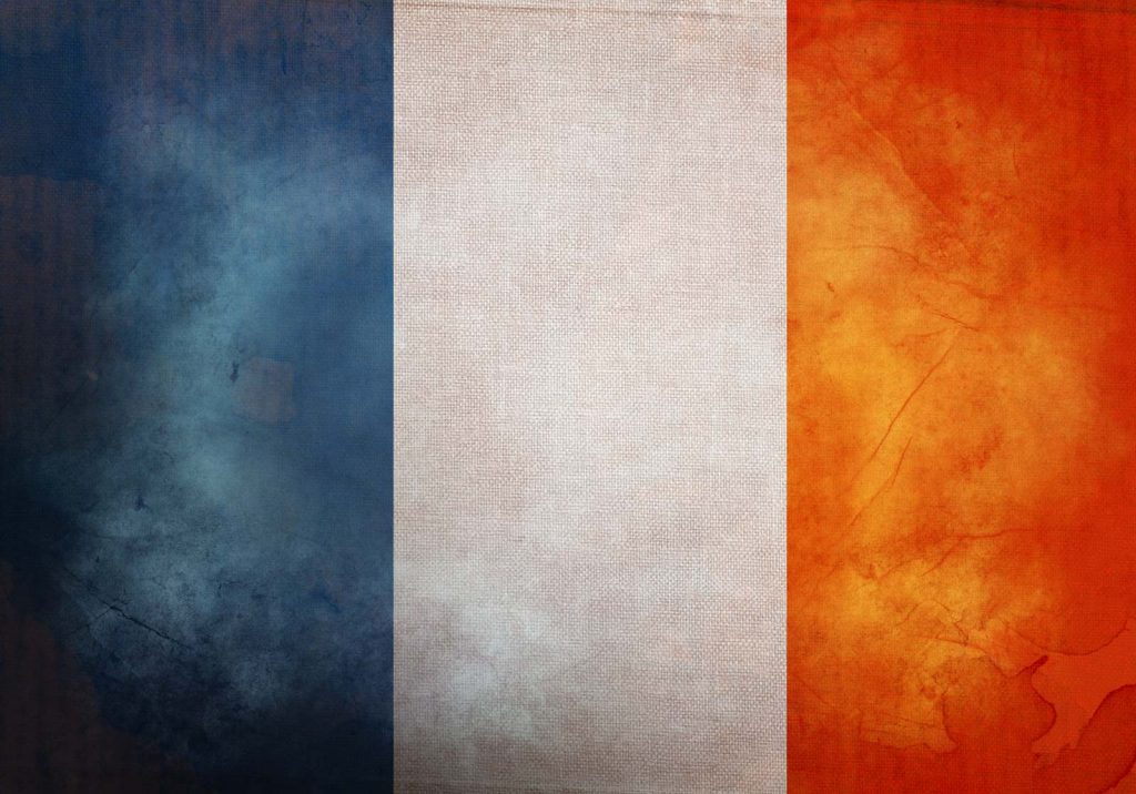 French provincial cushions are trending at the moment French Flag