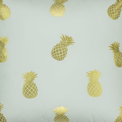 Coseup Image of a Square Petite Pinapple Cushion 45x45cm