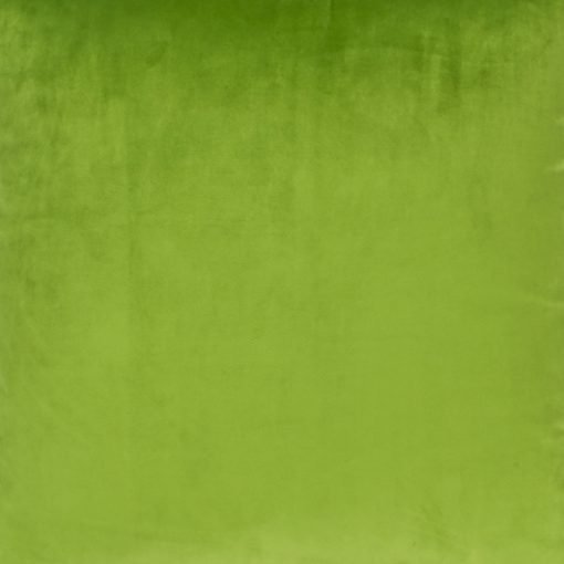 Close up of green velvet cushion cover