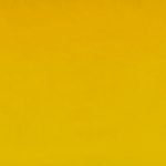 Closeup Image of Mustard Yellow Rectangular Velvet Cushion Cover 30cm x 50cm