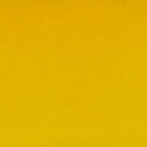 Closeup Image of Mustard Yellow Rectangular Velvet Cushion Cover 30cm x 50cm