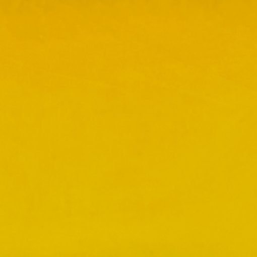 Closeup Image of Mustard Yellow Rectangular Velvet Cushion Cover 30cm x 50cm