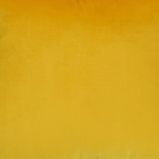 Close up of mustard yellow velvet cushion cover