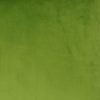 Close-up photo of green rectangular velvet cushion cover
