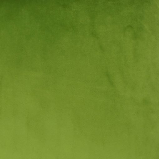 Close-up photo of green rectangular velvet cushion cover