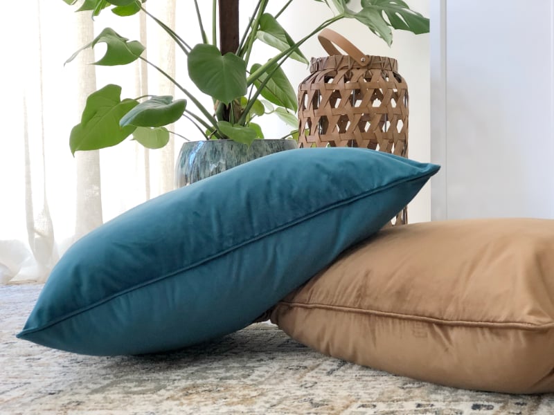 Two large kids floor cushions in blue and brown are arranged in front of a potted plant for children to read