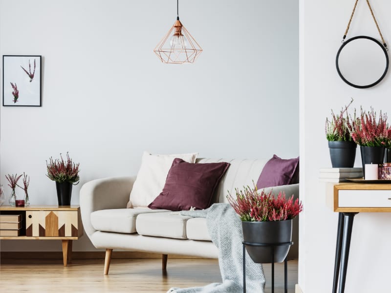 Two plum cushions styled on a elegant modern white couch in a living room.