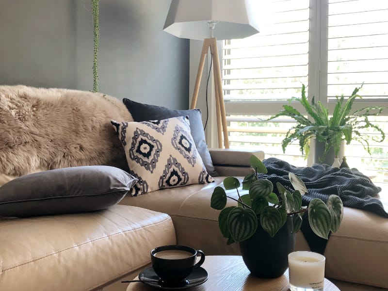 Grey and charcoal indoor cushions are arranged on a leathe.r sofa near a window