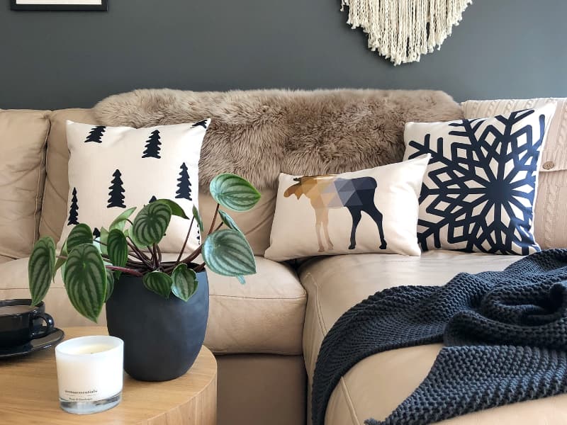 Dark living room scene showing sets of cushions displayed on a light coloured sofa