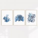 A set of three Hamptons style prints featuring blue coral designs in A2 sizes.