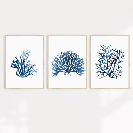 A set of three Hamptons style prints featuring blue coral designs in A2 sizes.