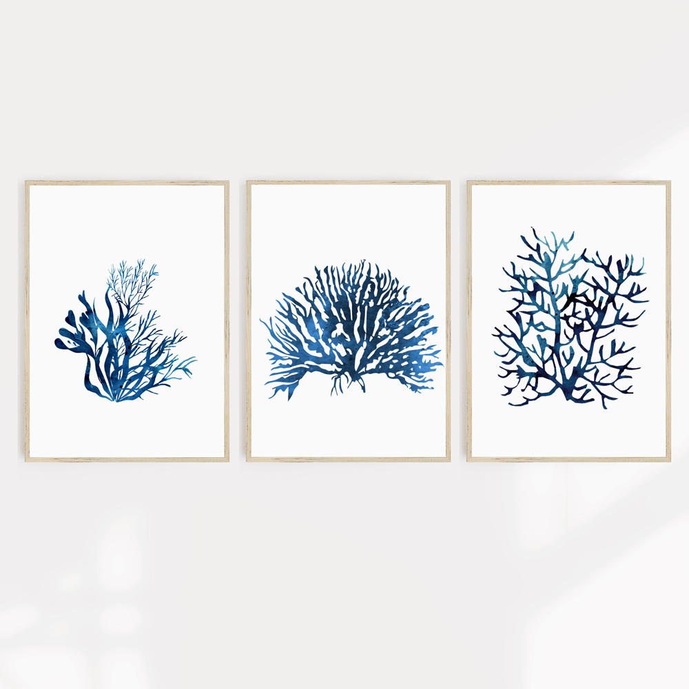 Buy Hamptons Wall Art Prints x 3 (excludes frames) Online | Simply Cushions