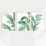Tropical wall art in a set of three A2 size prints with green foliage and orange flowers.