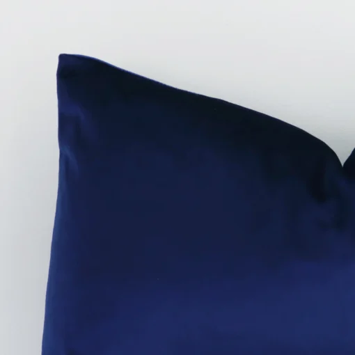 Precision shot of this rectangle cushion cover. It is possible to see the velvet fabric in greater depth.
