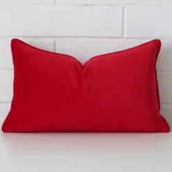 A gorgeous velvet rectangle cushion in red.
