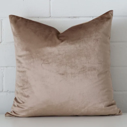 Champagne velvet cushion cover features prominently against a white wall. It has a square shape.