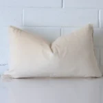 Gorgeous rectangle velvet cushion cover that has a creamhue.