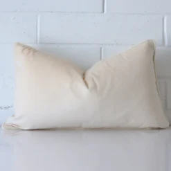 Gorgeous rectangle velvet cushion cover that has a creamhue.
