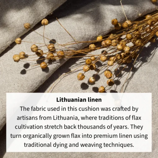 Detailed image showing Lithuanian linen cushion fabric up close with some flax flowers on top.